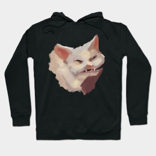 Hilarious cringing cat meme version.2 Hoodie